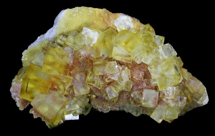 Lustrous, Yellow Cubic Fluorite Crystals - Morocco #32302